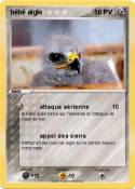 bébé aigle