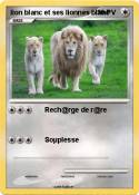lion blanc et