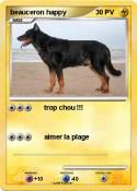 beauceron happy