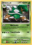Torterra