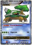 torterra torterra