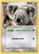 koala