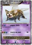 chat abeille