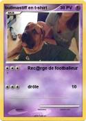 bullmastiff en