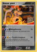 Bowser géant 1