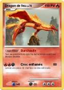 Dragon de feu
