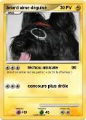 briard aime déguisé briard aime