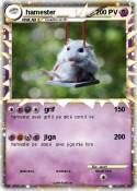 hamester