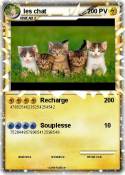les chat