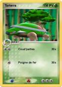 Torterra