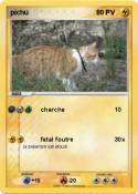 pichu 