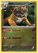 tigre