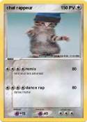 chat rappeur