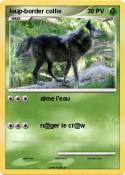loup-border collie loup-border