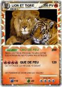 LION ET TIGRE