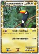 toucan
