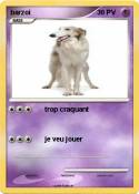 barzoi
