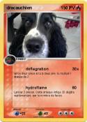 dracauchien