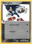  Sonic garou