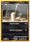 Porquepic