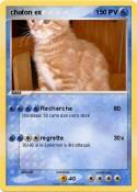 chaton ex chaton ex