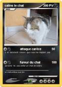calins le chat