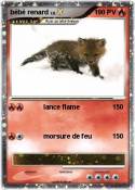 bébé renard