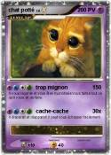 chat potté