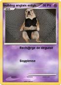 bulldog anglais