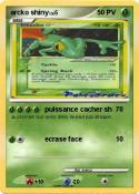 arcko shiny