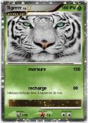 Tigrrrrr