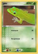 geko geko
