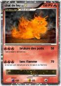 chat de feu