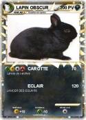 LAPIN OBSCUR LAPIN OBSCUR