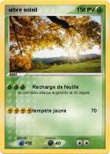 arbre soleil