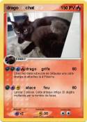drago chat