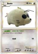 Boota
