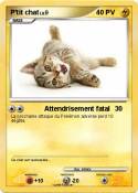 P'tit chat