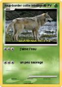 loup-border