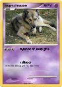loup-schnauzer