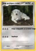 loup arctique
