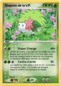 Shaymin de la