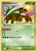 TORTERRA niv X 1 TORTERRA niv X