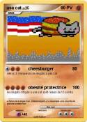 usa cat