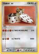 Chaton ex
