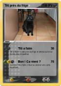 Titi près du