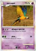 perroquet