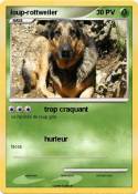 loup-rottweiler