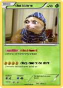 chat bizarre
