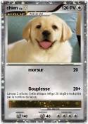 chien